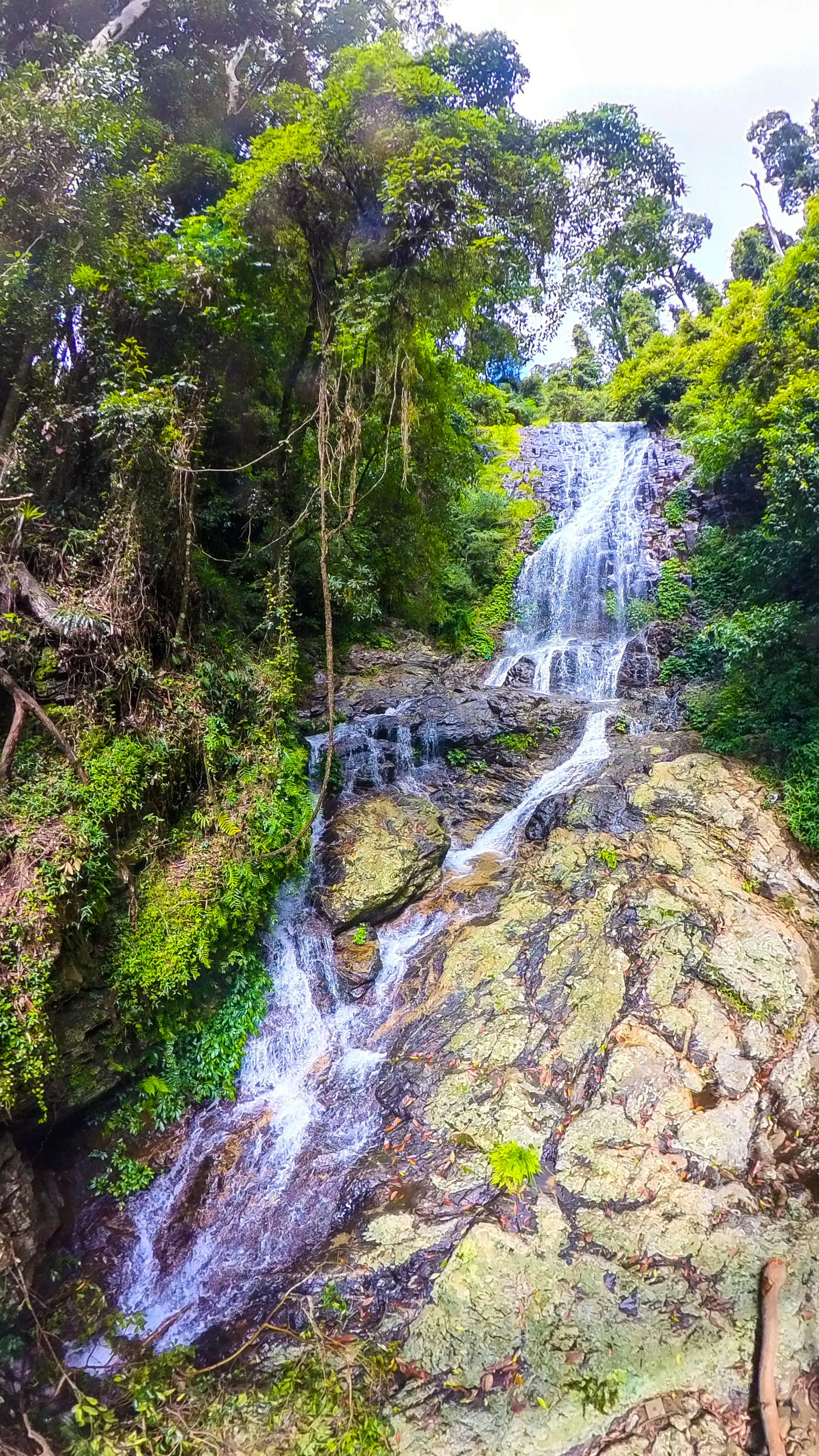 Tristania Falls